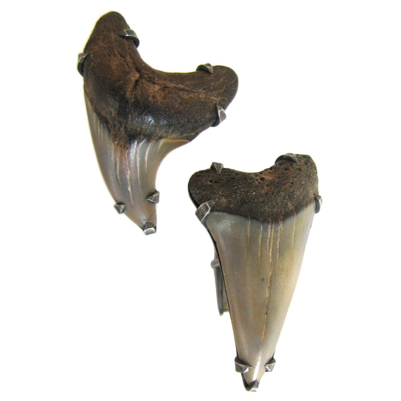 A Pair of Megolodon Cufflinks